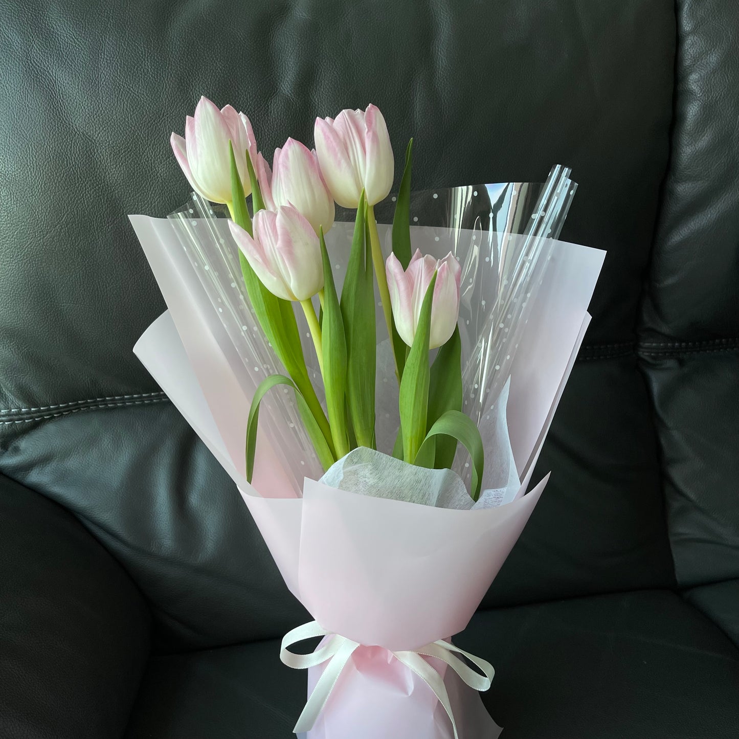 Tulip Blush
