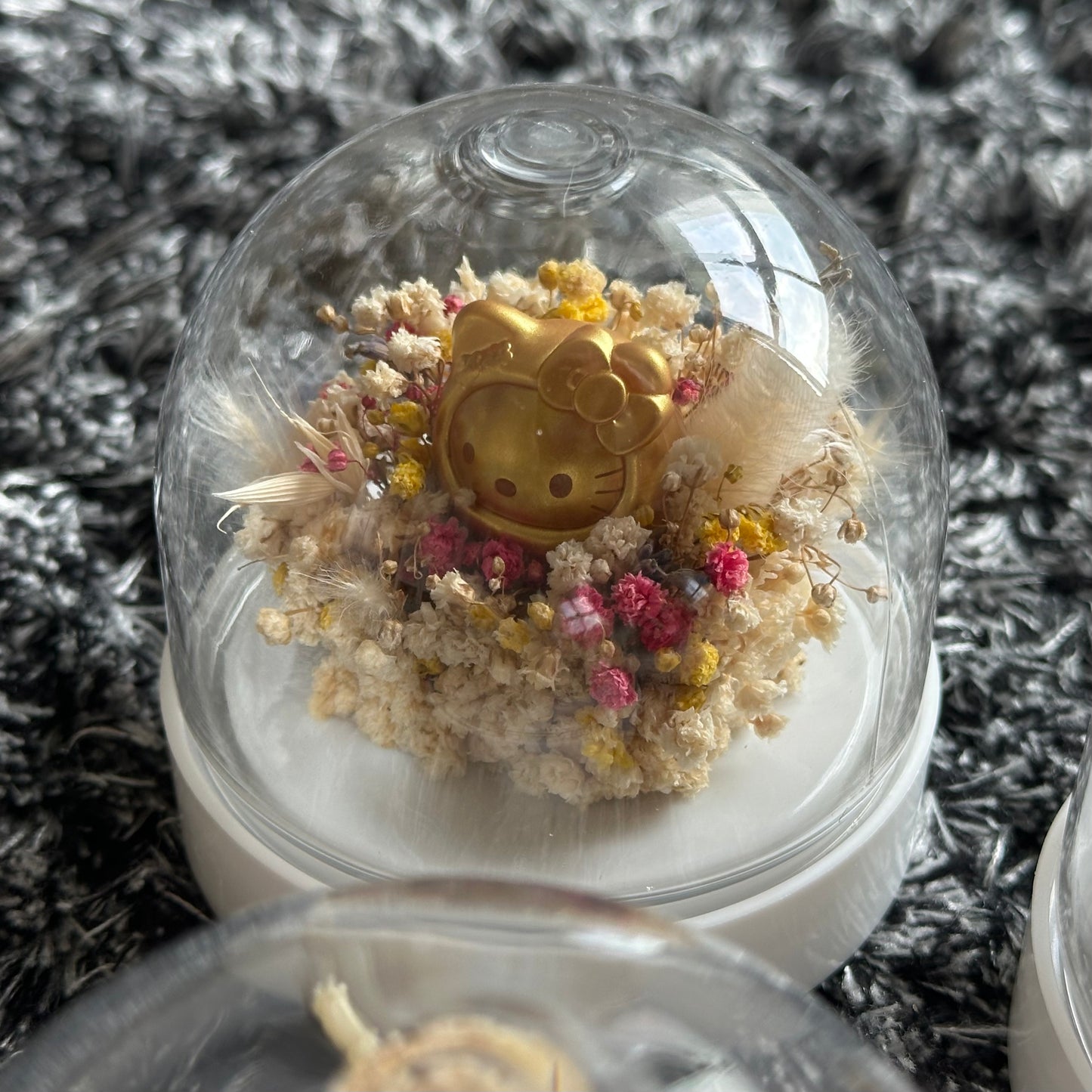 Sanrio Whimsy Dome