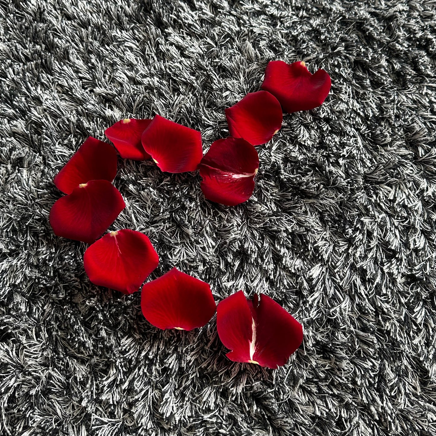 Fresh Flower Rose Petals