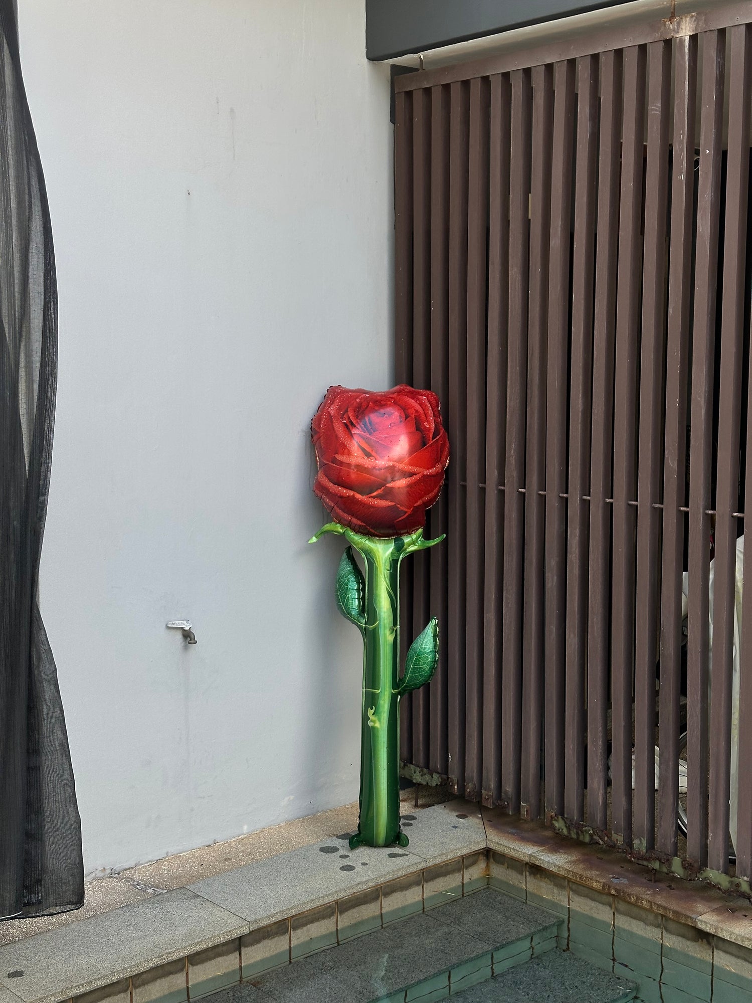 Balloons & Gifts