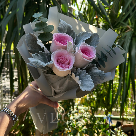Smoky Rose