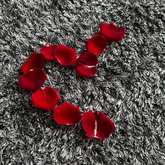 Fresh Flower Rose Petals