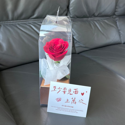 Bloom Box
