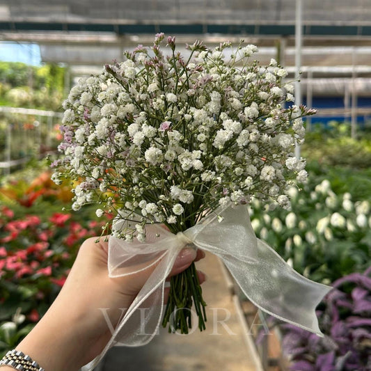 Amethyst Cloud | White Baby's Breath Bridal Bouquet