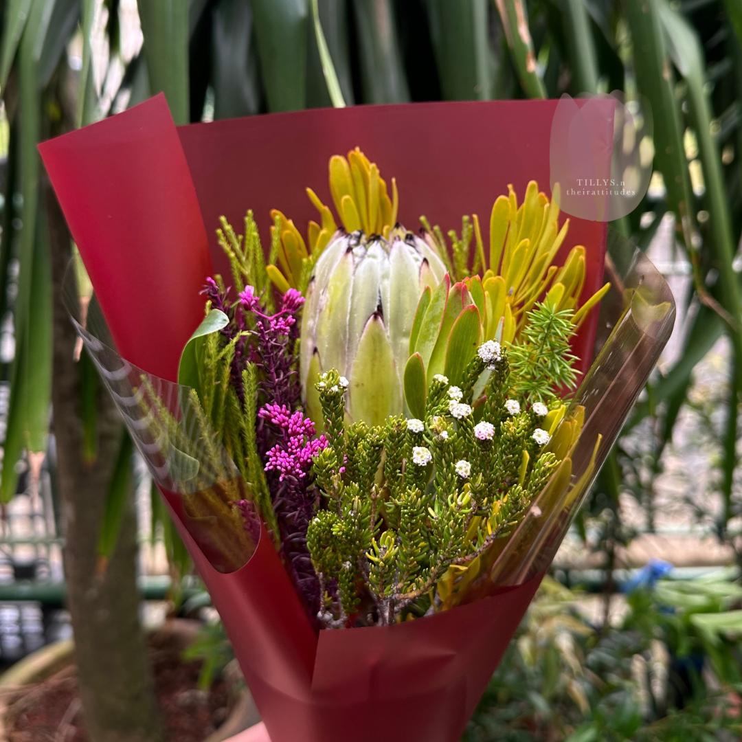 Bold in Bloom