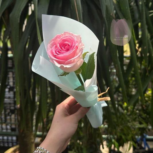 Cotton Candy Bloom