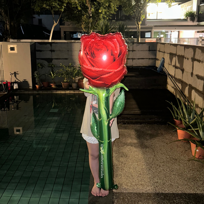 Inflated Romance