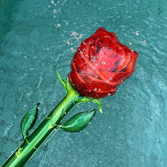 Inflated Romance