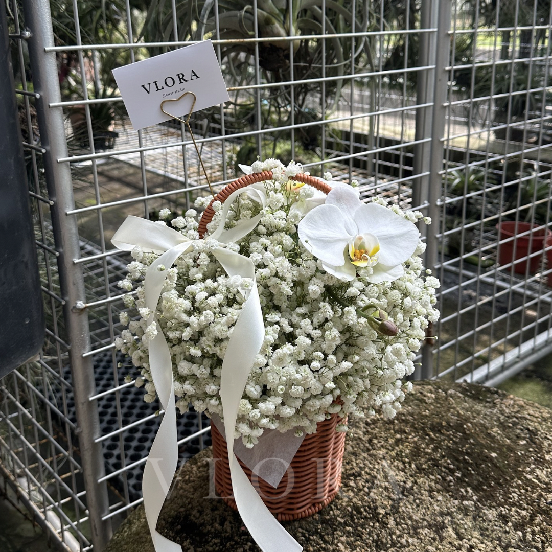 Bouquet of white flowers in a basket with a 'VLORA' sign in the background